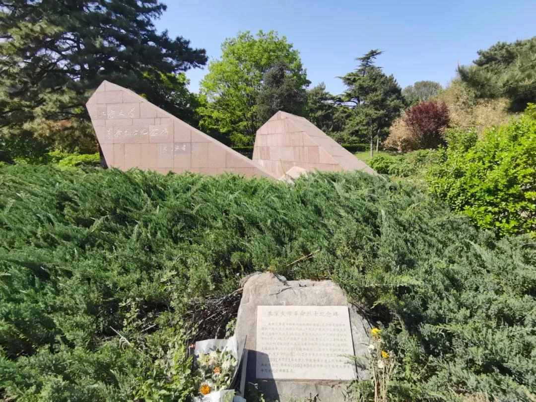 1623382840844392.jpg 1.1.jpg