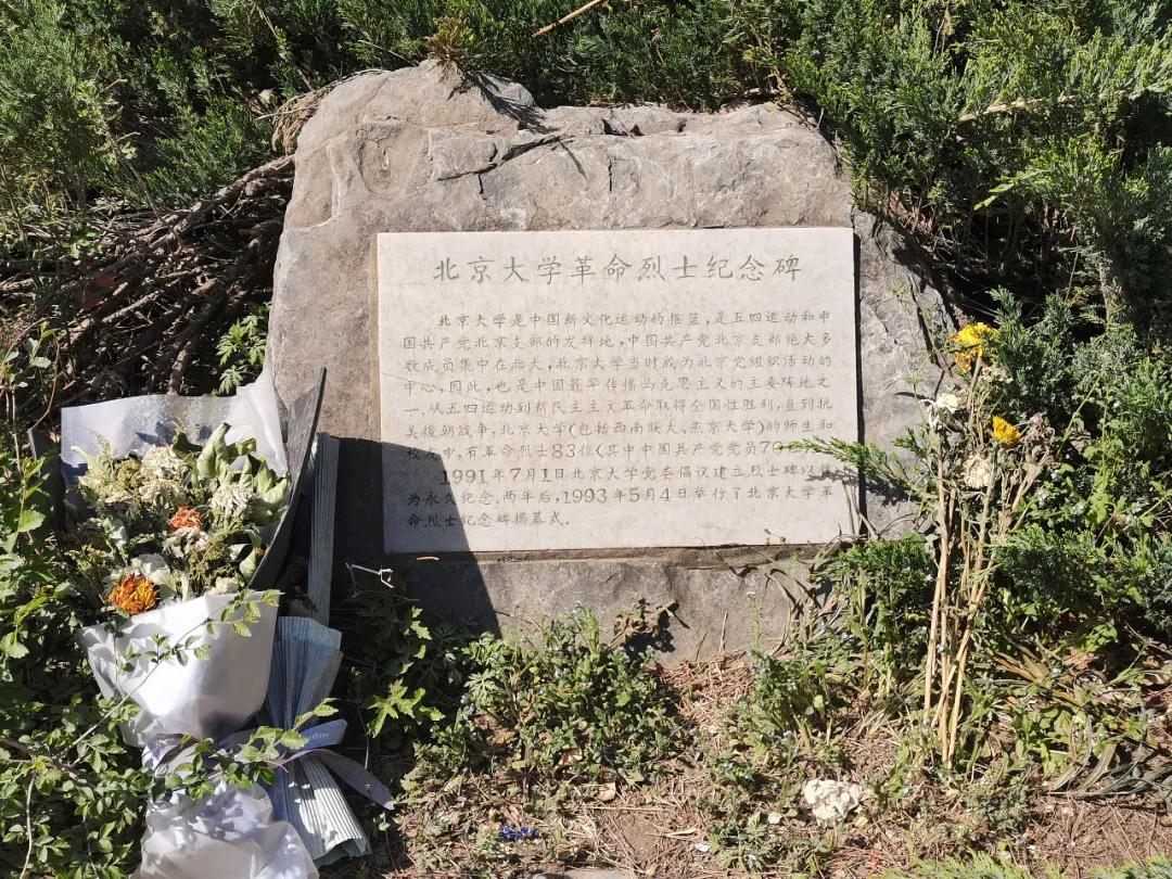 1623382855685903.jpg 2.jpg