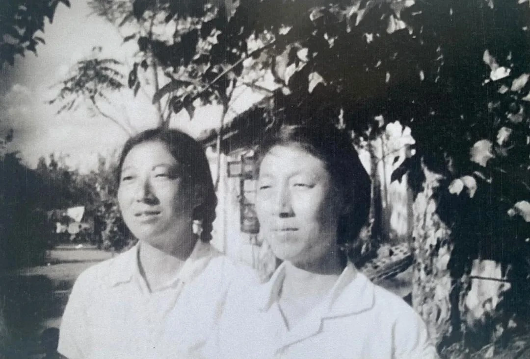 1623383092842291.jpg 10.jpg