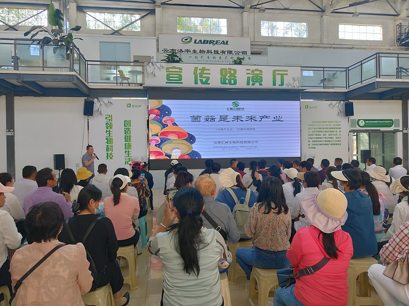 1686048353517674.jpg 上網 2.jpg