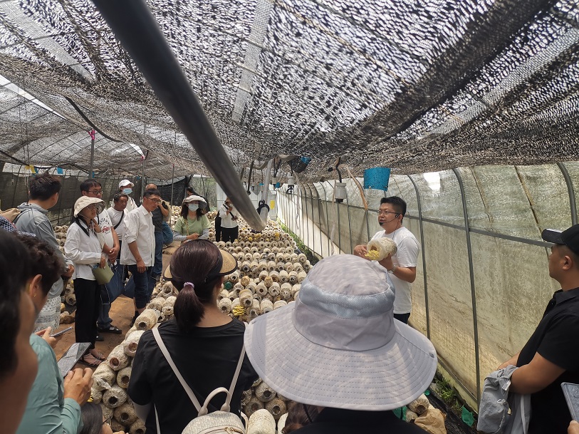 1686049136470875.jpg 上網 2.jpg