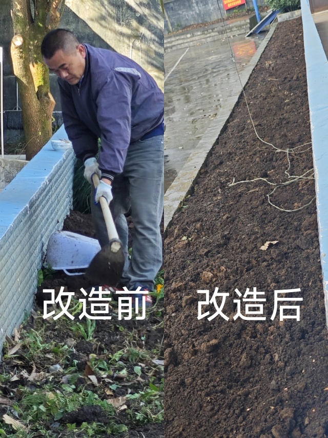 1705912920398161.jpg 8294108176147rfTuXL.jpg