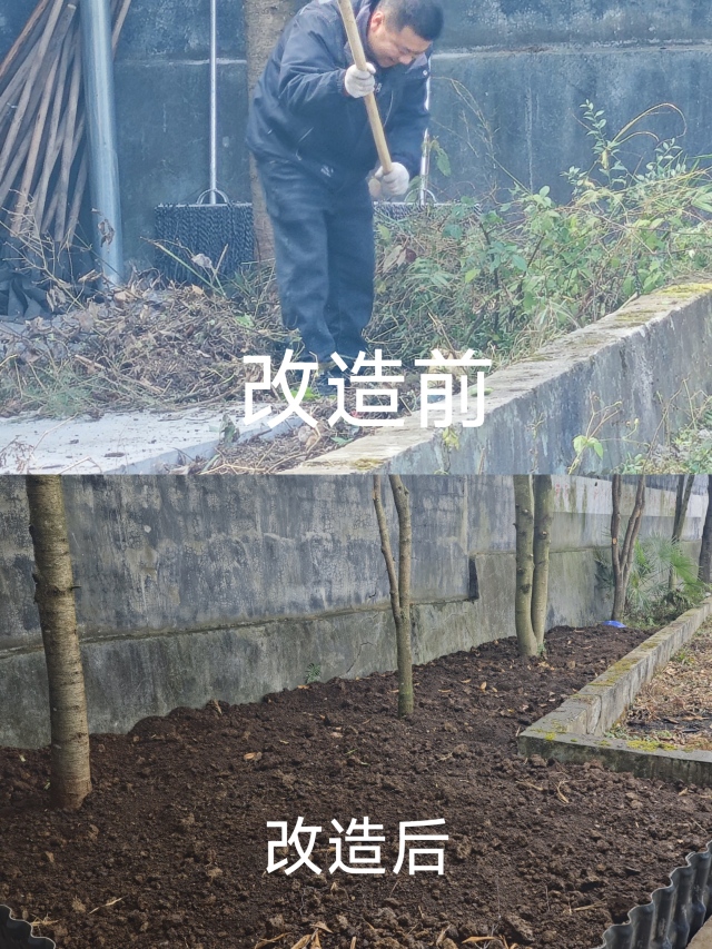 1705912932704952.jpg 8294108176106yjLaXT.jpg