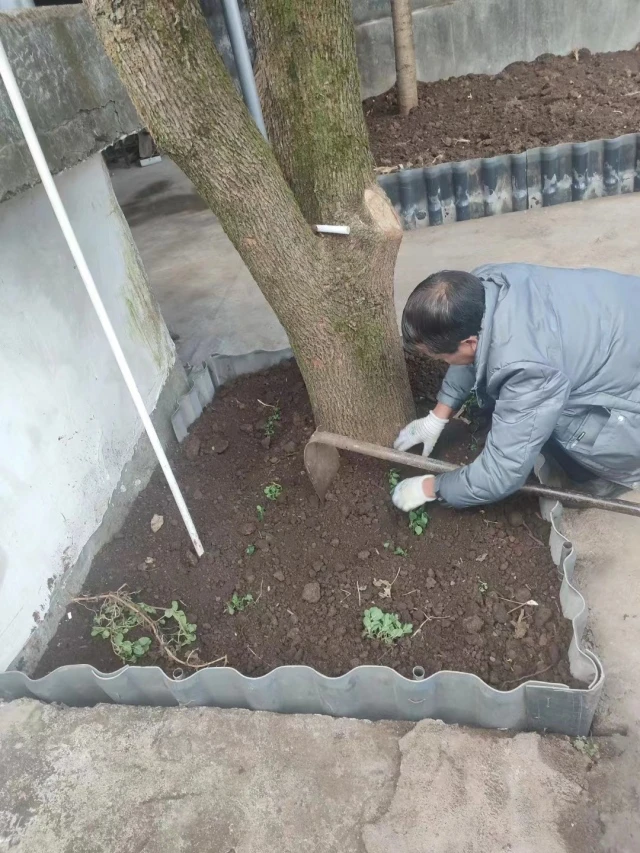 1705912945817450.jpg 829410817603354Sin9.jpg